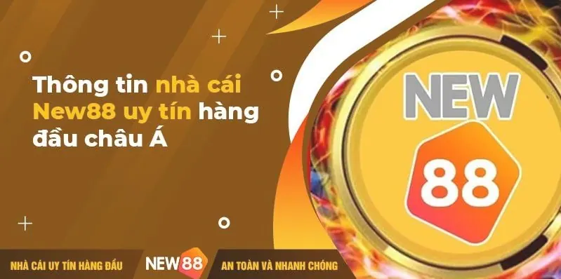Hướng dẫn kiểm tra thông tin Win789