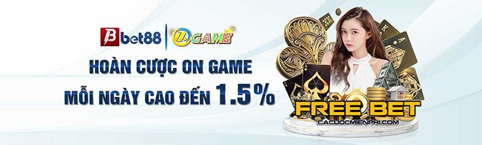 Đối chiếu thông tin thay vì suy đoán - Stake